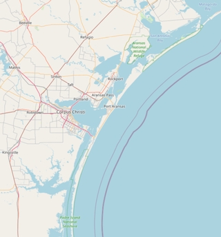 Texas Bus Sales Customers